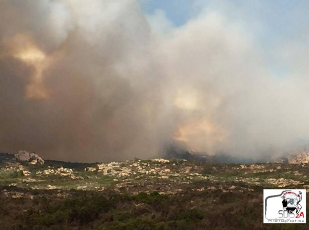 Incendie à Bonifacio en Corse, plus de 50 hectares déjà détruits