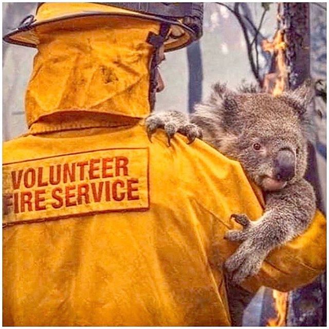 Incendies démesurés en Australie