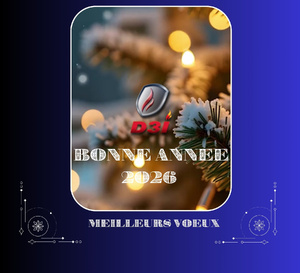 ✨ D3I Spécialiste Protection Incendie Lyon vous présente ses meilleurs vœux ! ✨