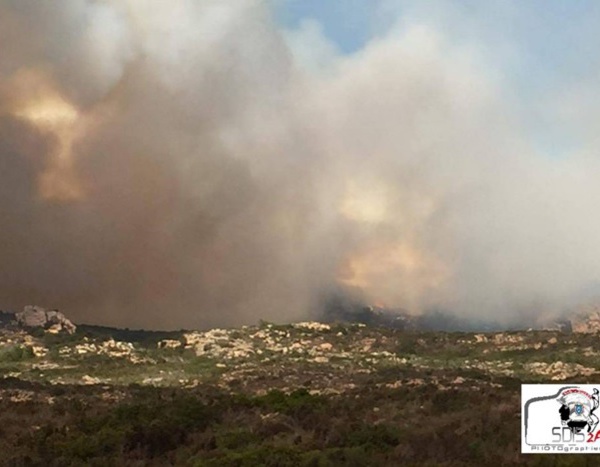 Incendie à Bonifacio en Corse, plus de 50 hectares déjà détruits