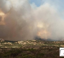 Incendie à Bonifacio en Corse, plus de 50 hectares déjà détruits