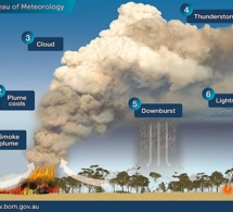 Incendies démesurés en Australie